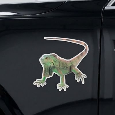 Autocollant pour voiture 