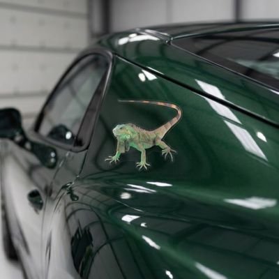 Autocollant pour voiture 