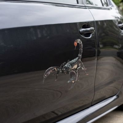 Autocollant pour voiture