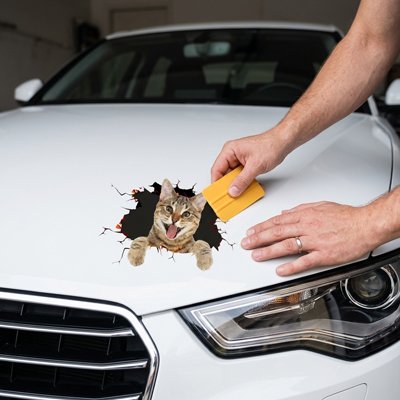 Autocollant voiture
