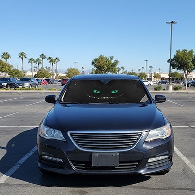 Pare-Soleil Voiture | Yeux de Félin | Effet Regard Mystérieux - Automobile4roues.com