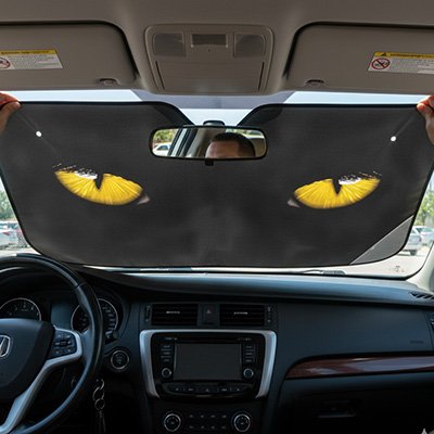 Pare soleil voiture