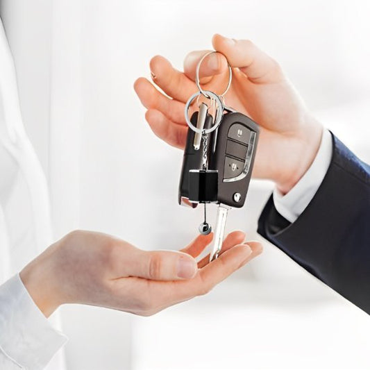 Porte Clé | Organisateur Élégant Bicolore Chrome - Automobile4roues.com