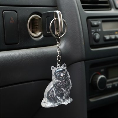 Porte clés | Élégant Robuste - Automobile4roues.com