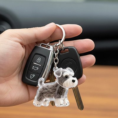 Porte-clés Schnauzer transparent - Automobile4roues.com